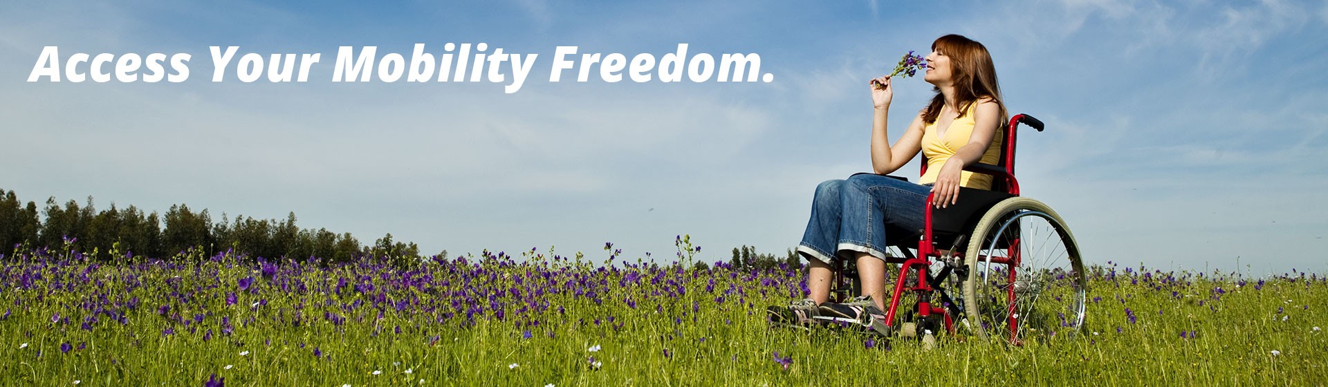 Wheelchair Van Service Georgia Banner Image